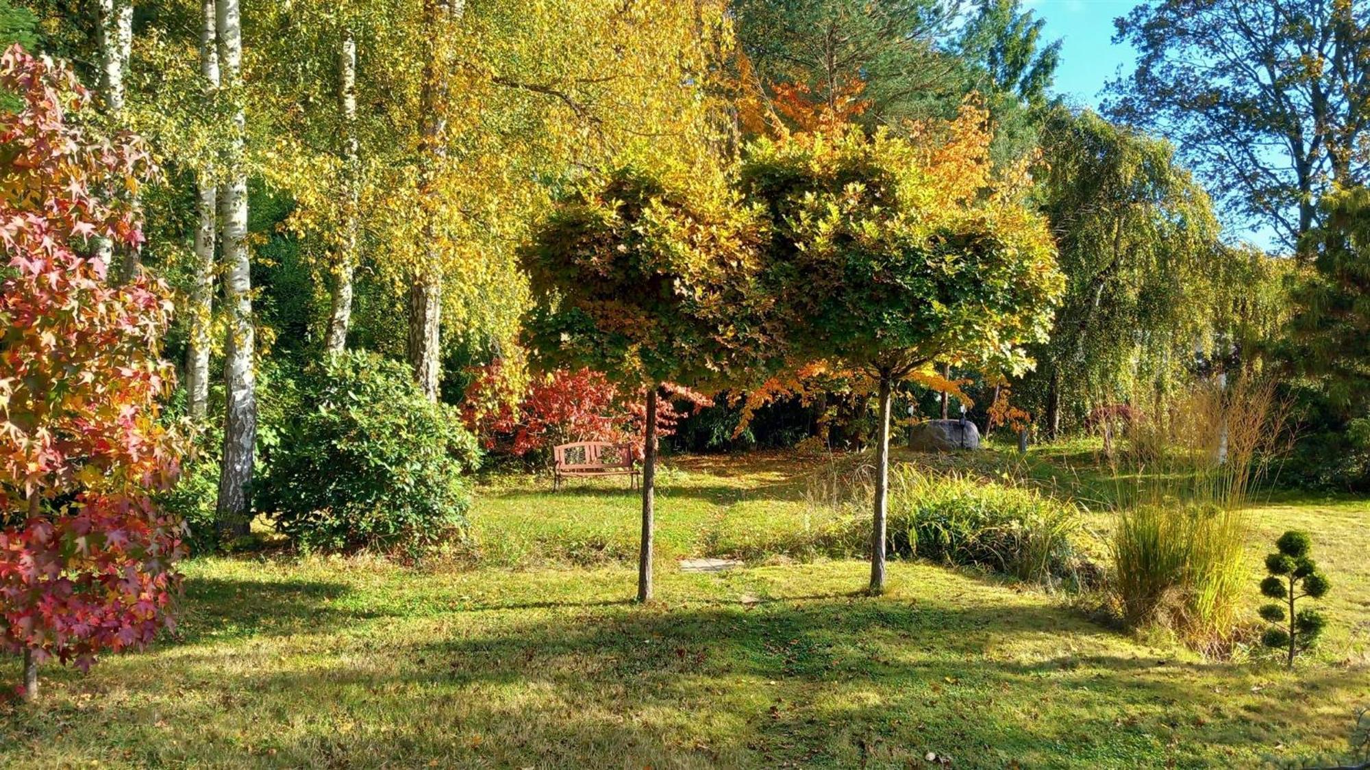 Ostsee Hotel-Pension An Der Lindenallee Бад-Доберан Екстер'єр фото